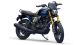 TVS Motor Company launches festive edition of TVS RONIN